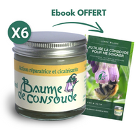 6 Baumes de consoude 50ml